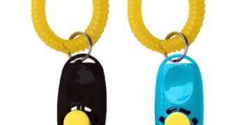 From Frustration to Fluent: A Trainer’s Journey and the Top Dog Clickers That Made It Happen