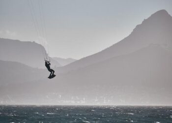 How to Move Your Cat Across the Atlantic: A Complete Guide for a Smooth and Stress-Free Journey