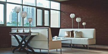 How to Find and Care for the Perfect Feathered Roommate in Your 700-Square-Foot Home