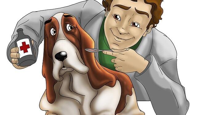 Cracking the Canine Code: A Veterinary Pathologist’s Quest to Uncover a Dog’s Final Moments