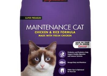 Cracking the Code: A Vet’s Guide to Choosing the Best Cat Kibble