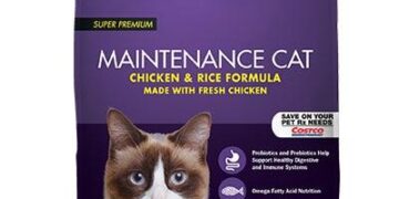 Cracking the Code: A Vet’s Guide to Choosing the Best Cat Kibble